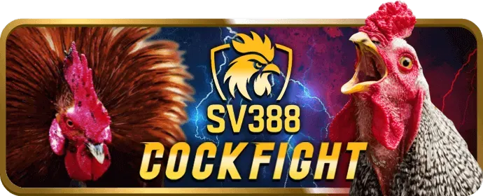 Hình ảnh minh họa cách K9BET Đăng Nhập sử dụng cookie để cải thiện trải nghiệm người dùng