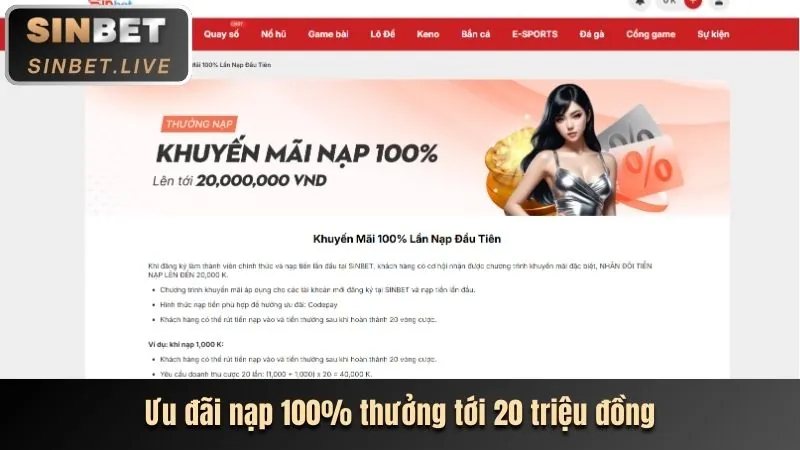 Cá cược thể thao K9BET